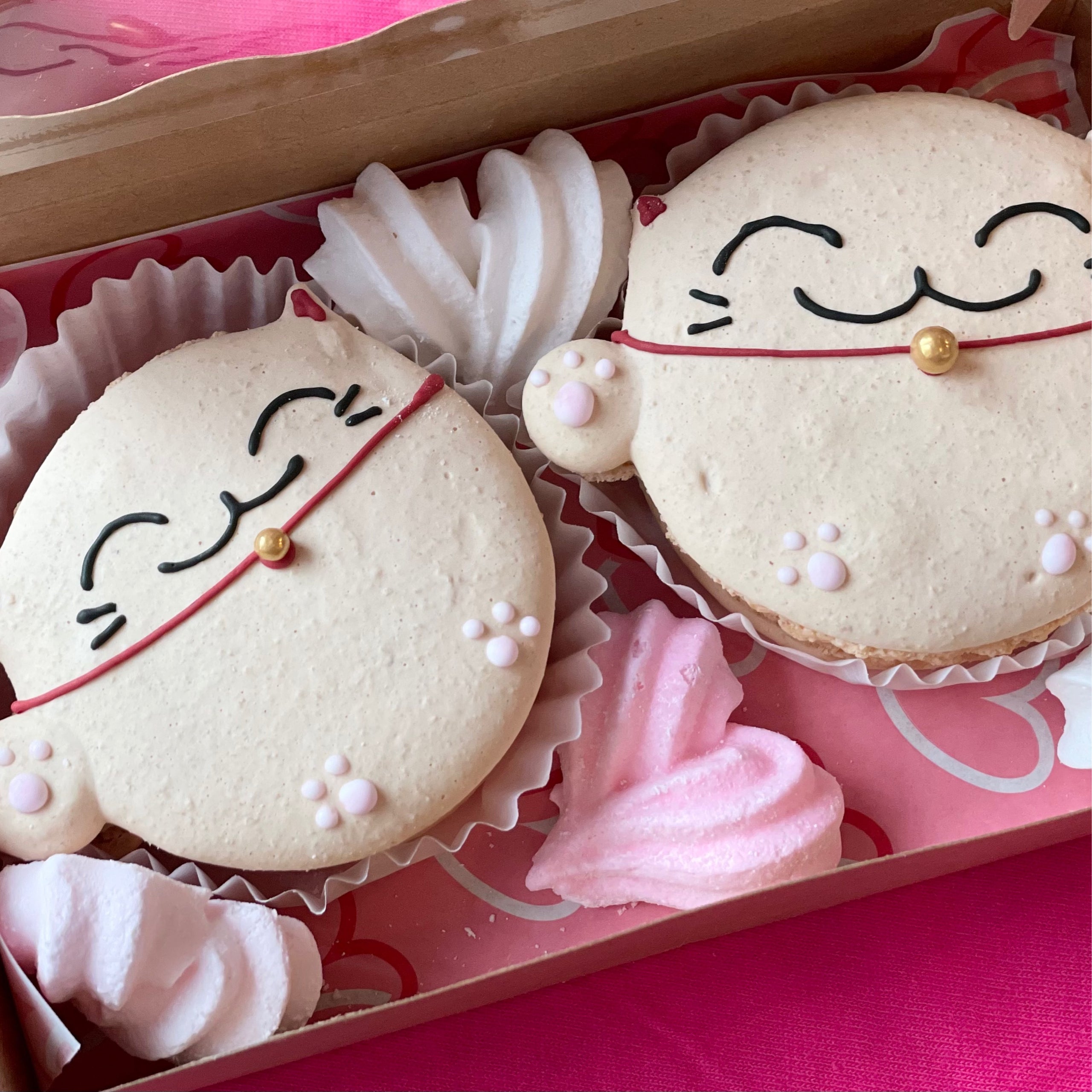 Gift Box - Maneki Cat (2 cats) | FUJI BAKERY Seattle